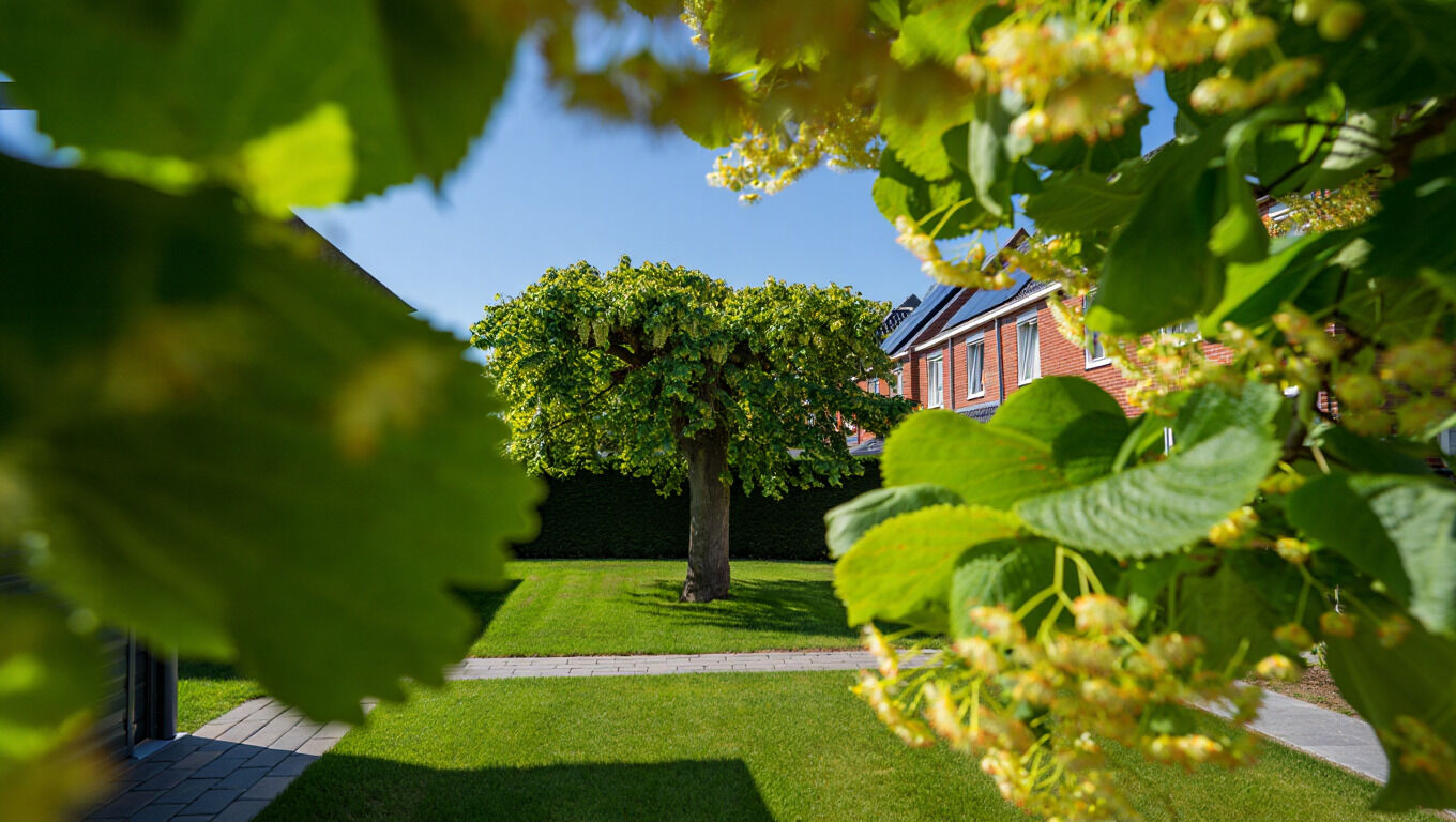 [paste advice page name here]